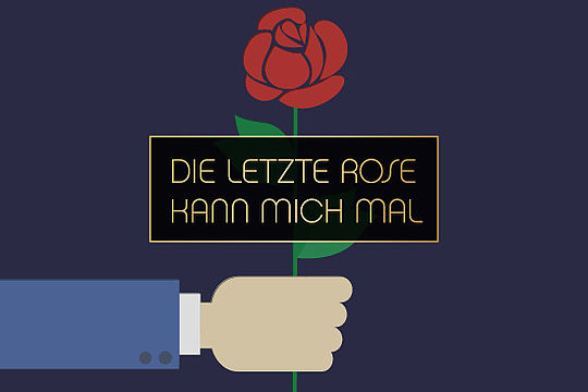 Bild im Comicstil: Der Bachelor überreicht eine Rose. Text: „Die letzte Rose kann mich mal.“