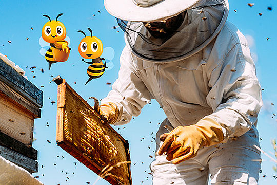 Ein Mann mit Schutzanzug und Kopfschutz hält eine Bienenwaabe. Daneben fliegen zwei Comic-Bienen.